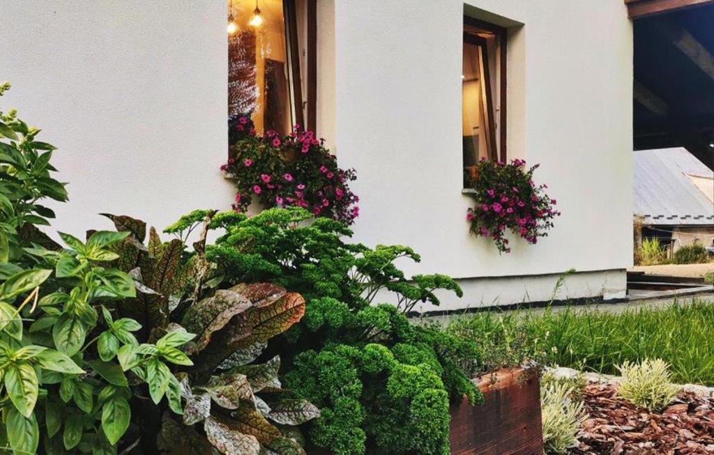 Bukowa Chatka Bukowiec  Dış mekan fotoğraf